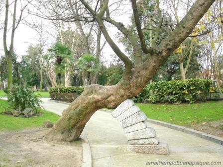 Árbol en parque de Oviedo