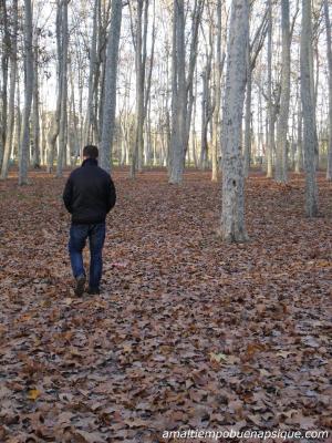 trastorno esquizoide de la personalidad